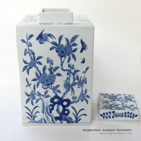 RYQQ09_9719 RYQQ09_9719