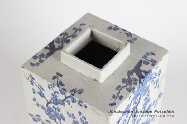 RYQQ10_0945 RYQQ10_0945