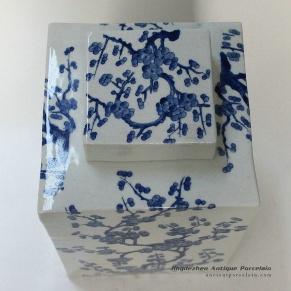 RYQQ10_9722 RYQQ10_9722