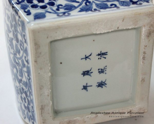 RYQQ13_9737 RYQQ13_9737