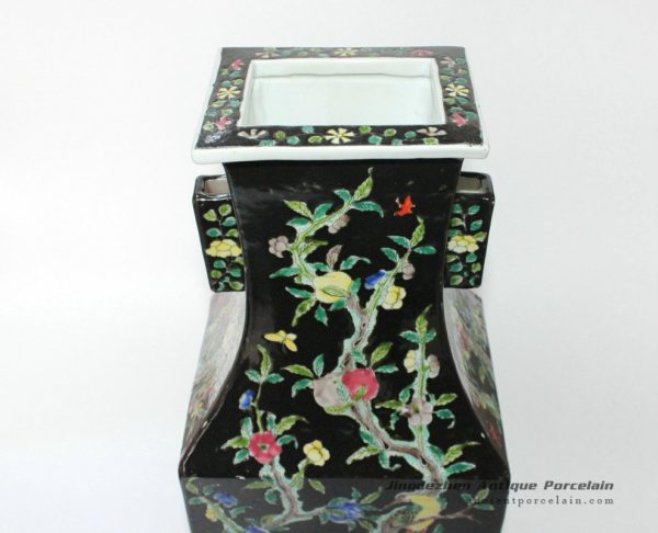 RYQQ17_9763 RYQQ17_9763