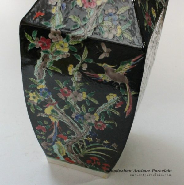 RYQQ17_9764 RYQQ17_9764