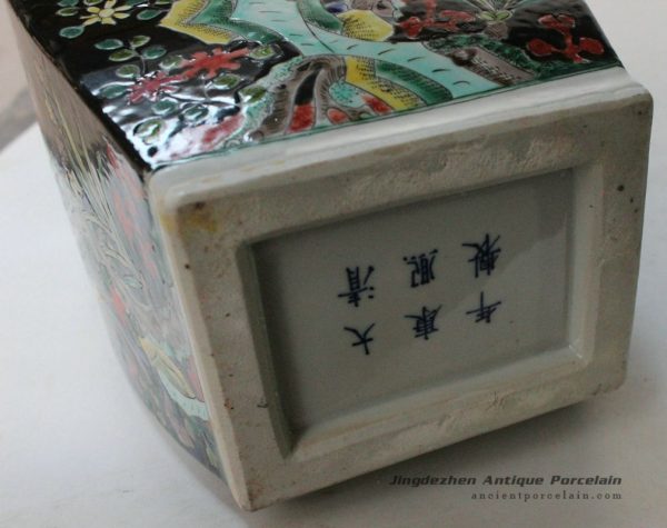 RYQQ17_9766 RYQQ17_9766