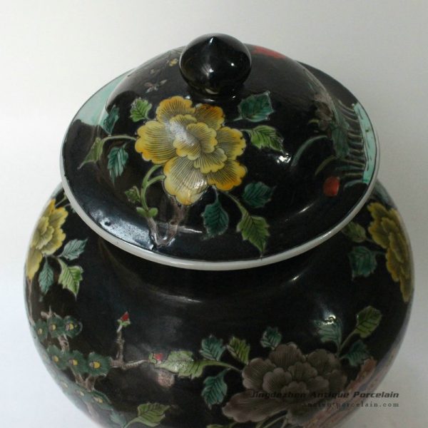 RYQQ18_9768 RYQQ18_9768