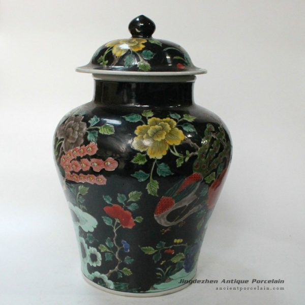 RYQQ18_9769 RYQQ18_9769