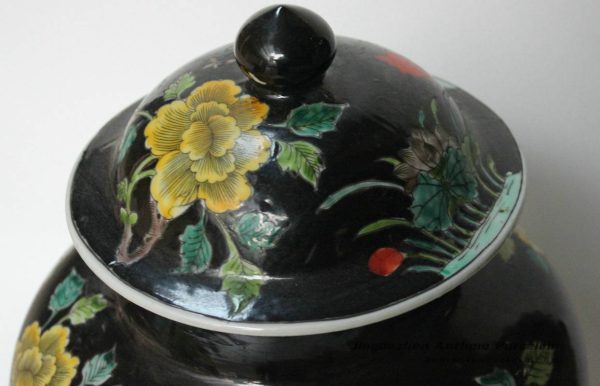 RYQQ18_9772 RYQQ18_9772