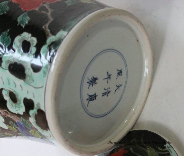 RYQQ18_9773 RYQQ18_9773