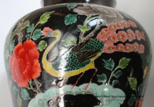 RYQQ18_9774 RYQQ18_9774