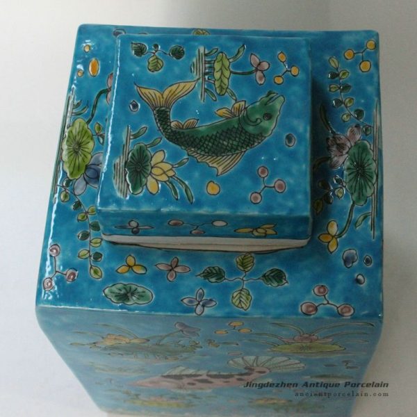 RYQQ19_9777 RYQQ19_9777