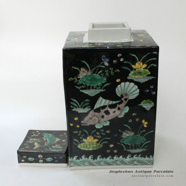 RYQQ20_9783 RYQQ20_9783