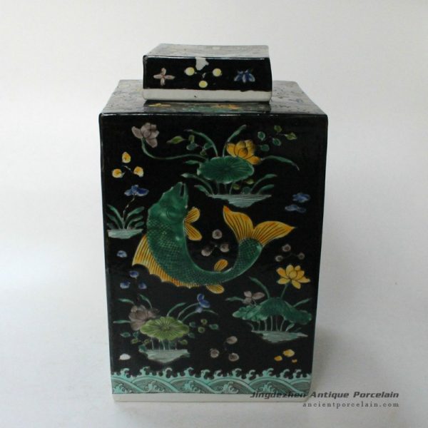 RYQQ20_9784 RYQQ20_9784