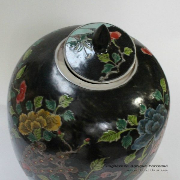 RYQQ25_9809 RYQQ25_9809