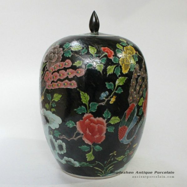 RYQQ25_9810 RYQQ25_9810