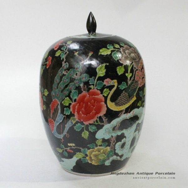 RYQQ25_9811 RYQQ25_9811