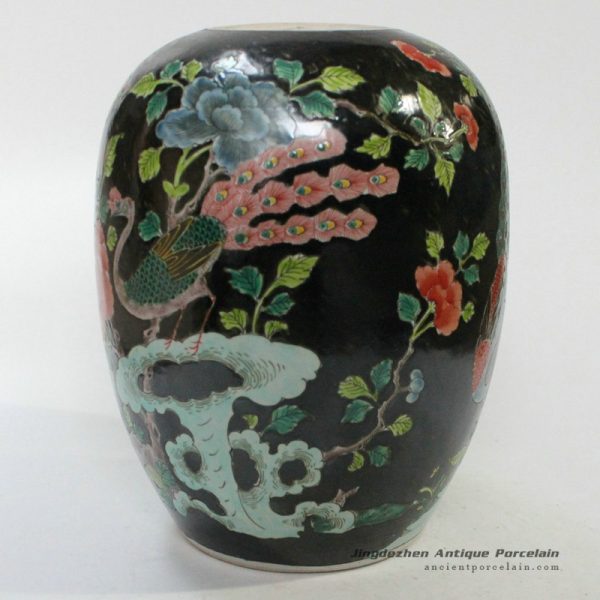 RYQQ25_9812 RYQQ25_9812