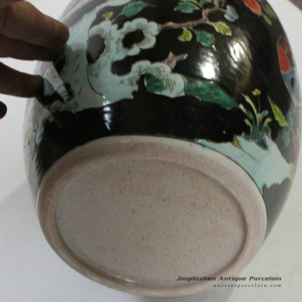 RYQQ25_9813 RYQQ25_9813