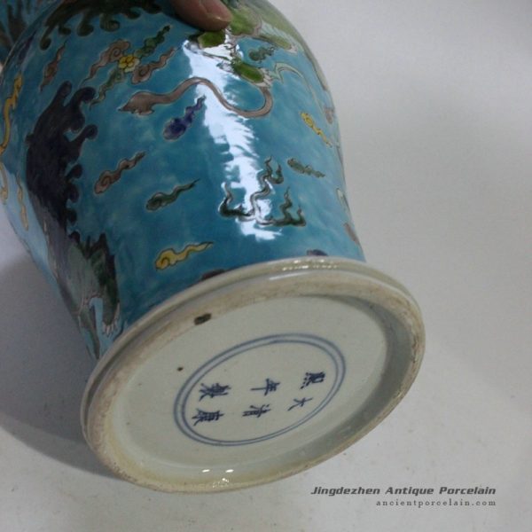 RYQQ26_9821 RYQQ26_9821