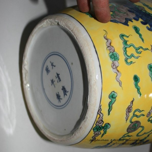 RYQQ27_9825 RYQQ27_9825