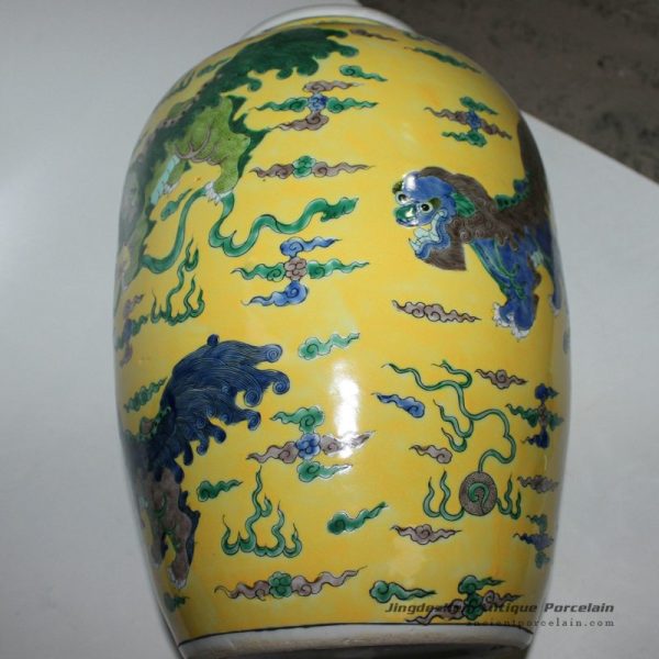 RYQQ27_9826 RYQQ27_9826