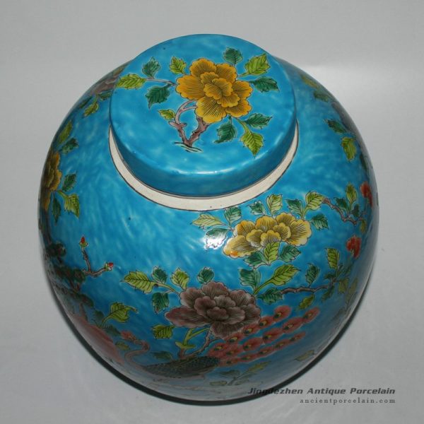 RYQQ28_9828 RYQQ28_9828