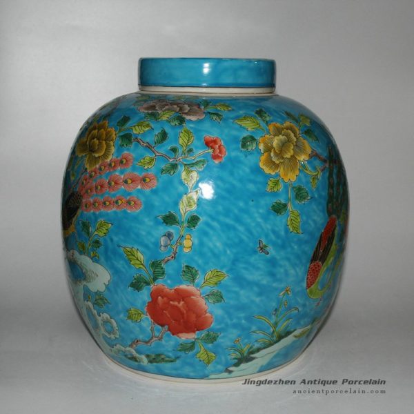 RYQQ28_9829 RYQQ28_9829