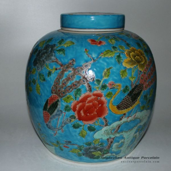 RYQQ28_9830 RYQQ28_9830