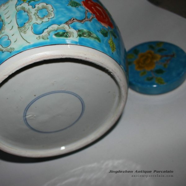 RYQQ28_9833 RYQQ28_9833