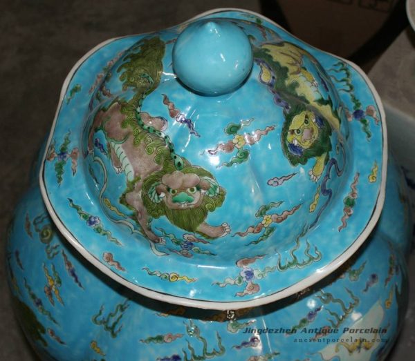 RYQQ29_9861 RYQQ29_9861