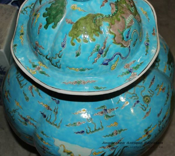 RYQQ29_9862 RYQQ29_9862