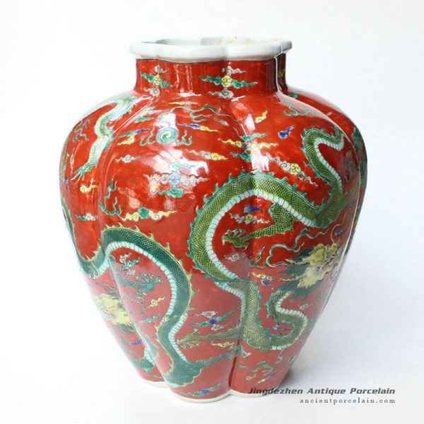 RYQQ32_9875 RYQQ32_9875