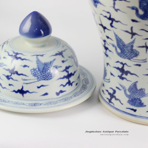 RYLU122_8964 RYLU122_8964