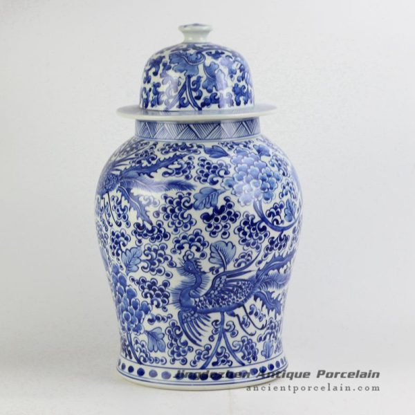 RYNQ196-A_4610 RYNQ196-A_4610