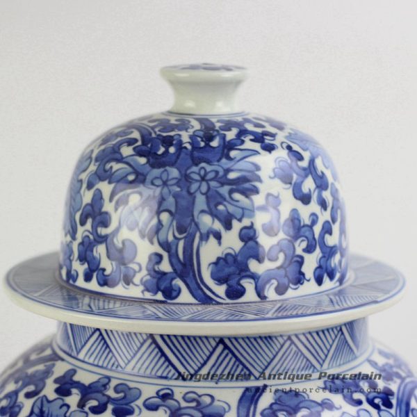 RYNQ196-B_4616 RYNQ196-B_4616