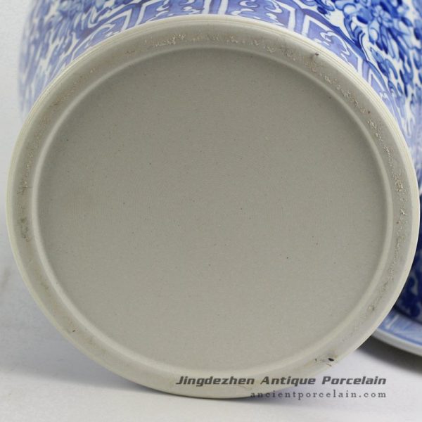 RYNQ196-B_4618 RYNQ196-B_4618