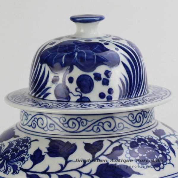 RYNQ196-C_4626 RYNQ196-C_4626