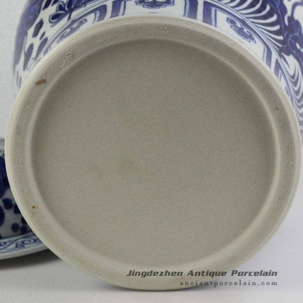 RYNQ196-C_4628 RYNQ196-C_4628