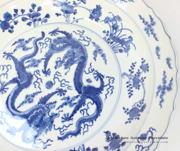 RYQQ43_9940 RYQQ43_9940