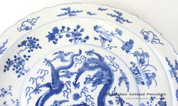 RYQQ43_9941 RYQQ43_9941