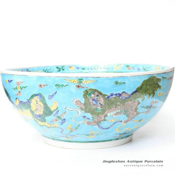 RYQQ47_9972 RYQQ47_9972