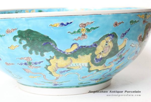 RYQQ47_9973 RYQQ47_9973