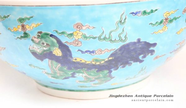 RYQQ47_9974 RYQQ47_9974