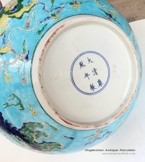 RYQQ47_9975 RYQQ47_9975