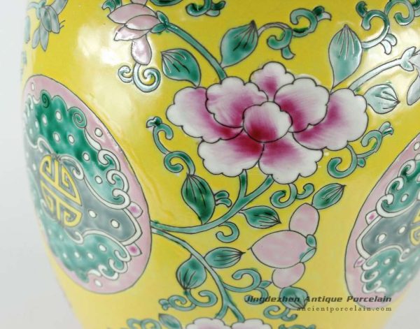 RYQQ51_7893 RYQQ51_7893