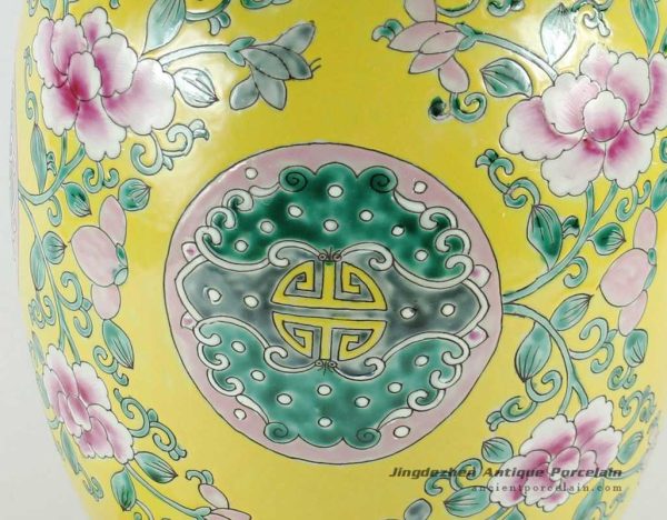 RYQQ51_7894 RYQQ51_7894