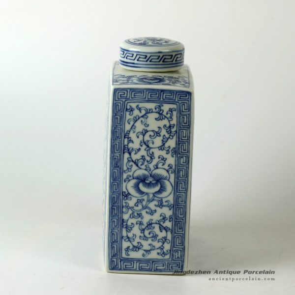 RYQQ52_0556 RYQQ52_0556