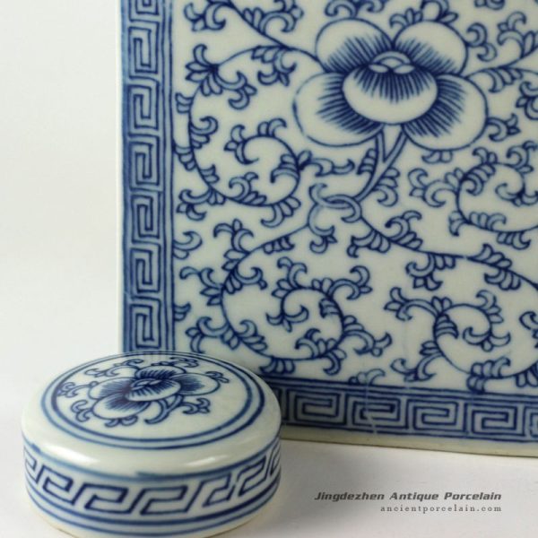 RYQQ52_0560 RYQQ52_0560