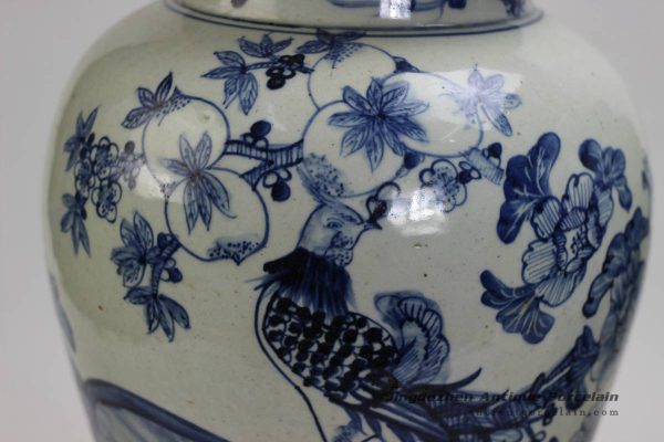 RZFI02_1009 RZFI02_1009