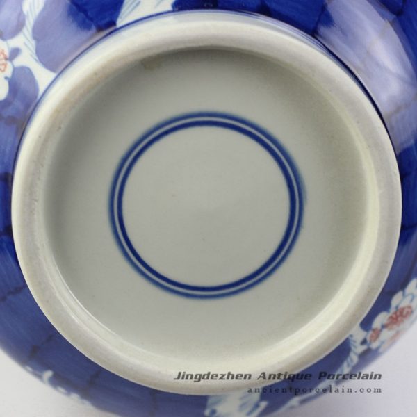 RYWG10_4494 RYWG10_4494