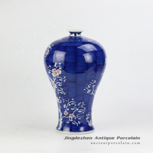 RYWG11_4496 RYWG11_4496