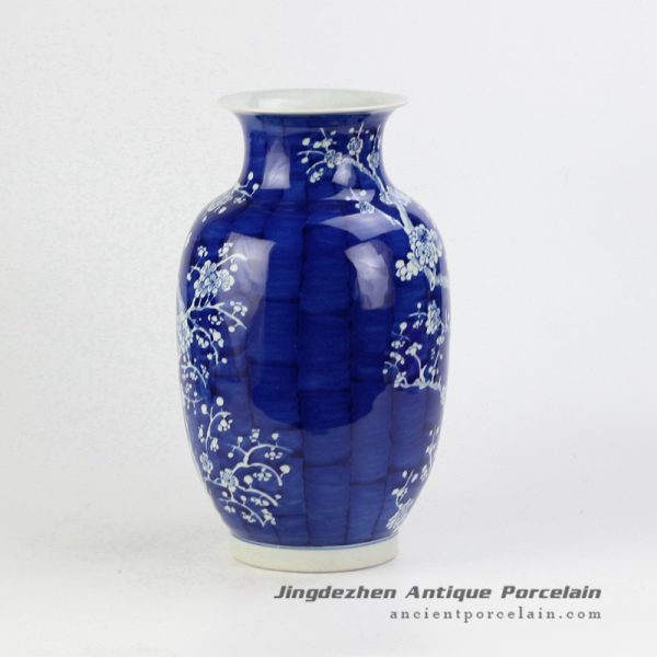 RYWG12_4503 RYWG12_4503